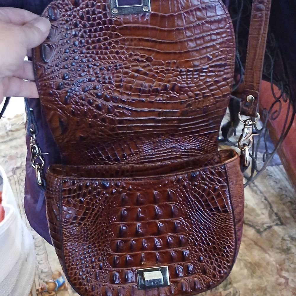 Brahmin   - Picture 6 of 9